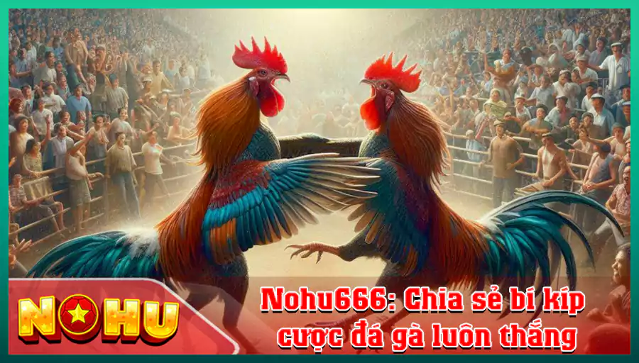 Nohu666 Chia se bi kip cuoc da ga luon thang 1